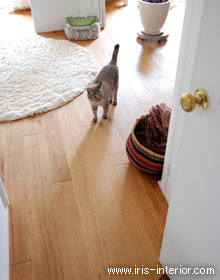 猫のおもちゃは、アフリカのカゴに収納して隠しています