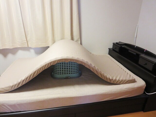 モニター画像