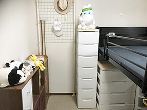 実際に収納してみると・・・