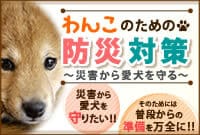 わんこのための防災対策〜災害から愛犬を守る〜