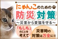 にゃんこのための防災対策〜災害から愛猫を守る〜