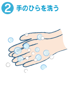 2.手のひらを洗う