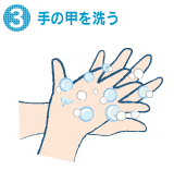 3.手の甲を洗う