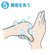 5.親指を洗う