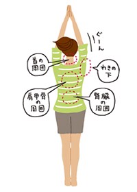 ベジタサイズにはダブルの脂肪燃焼効果があるから、確実に痩せるのです!