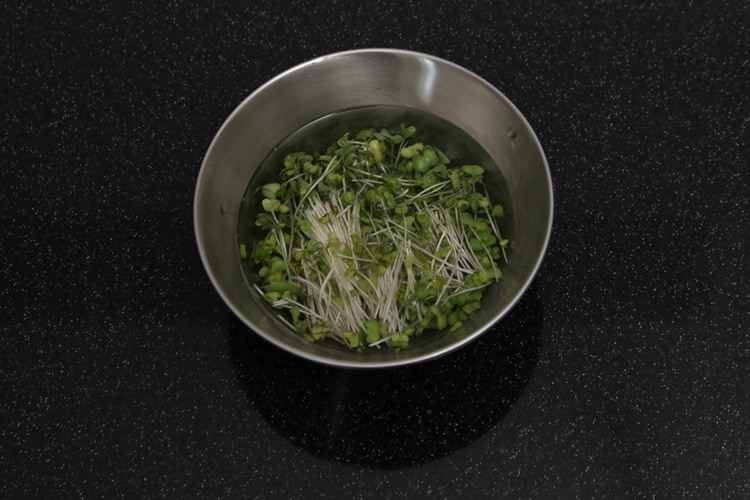 料理画像