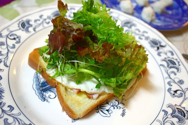 �菇�R