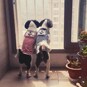 �A�����^��������