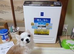 モニター画像