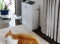 モニター画像