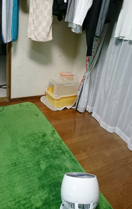 ���j�^�[�摜
