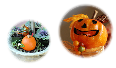 インテリアでひと工夫!ハロウィンムード満点なおもてなし