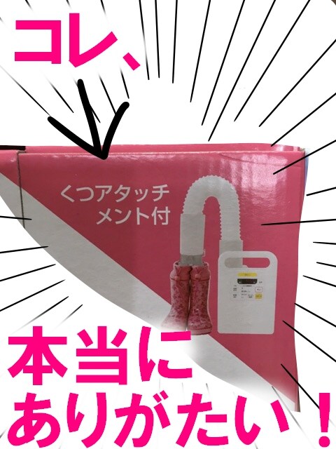 �{���ɂ��肪�����I