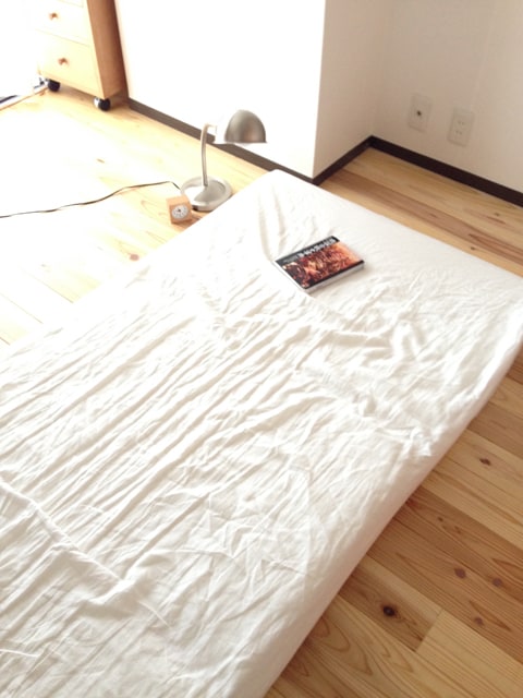 モニター画像