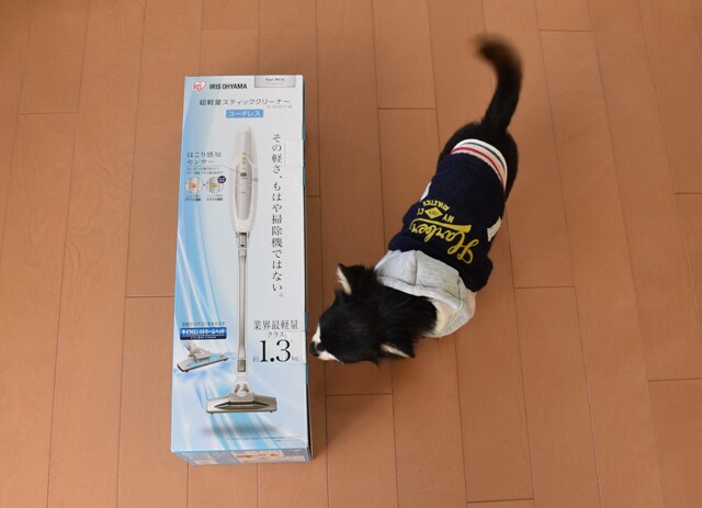 モニター画像