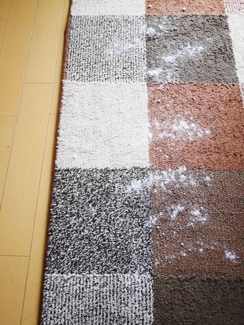 モニター画像