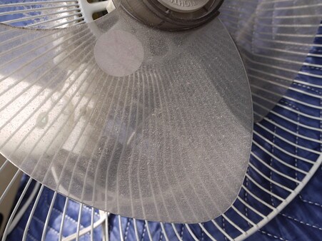 ホコリが良い感じですね〜!?