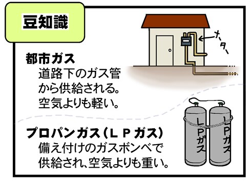 豆知識