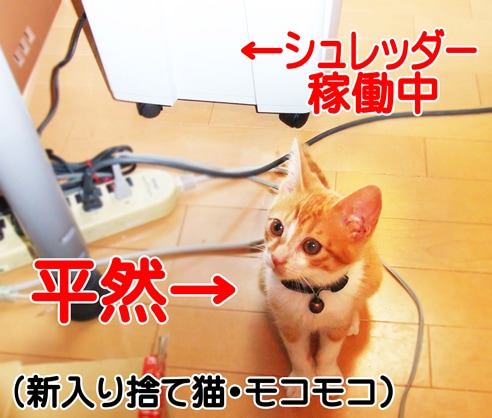 ←シュレッダー稼動中