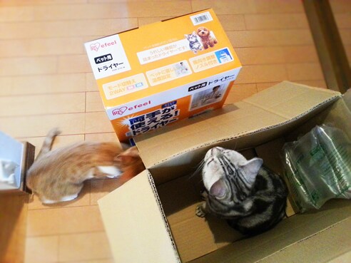 …予想通りの結果になりました。