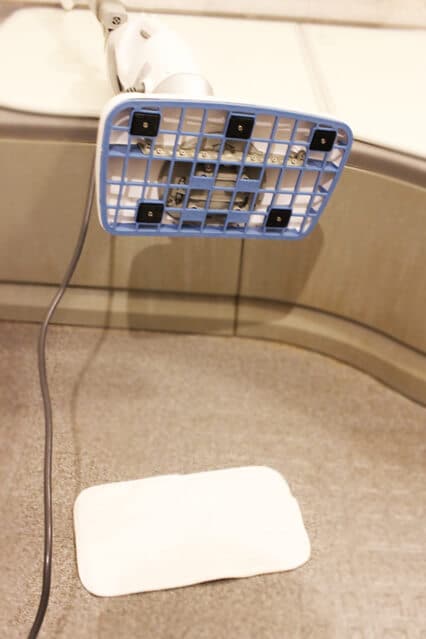 底面はこんな感じ。