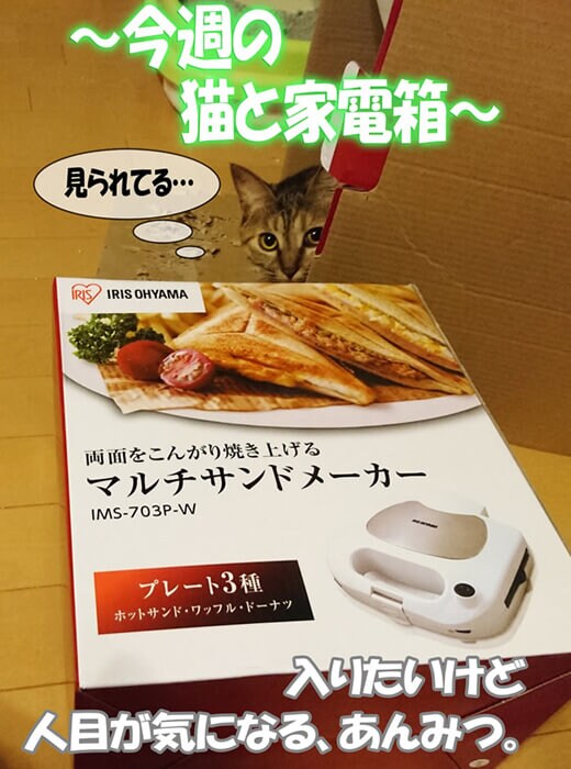 今週の猫と家電箱