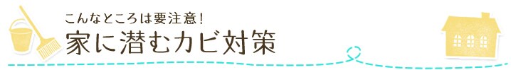 こんなところは要注意!家に潜むカビ対策