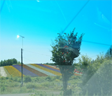 �v���t�B�[���摜