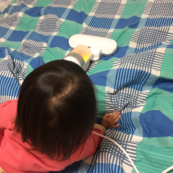���|�[�g�摜