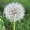 ���j�^�[����v���t�B�[���摜