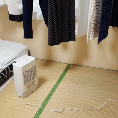 モニター画像