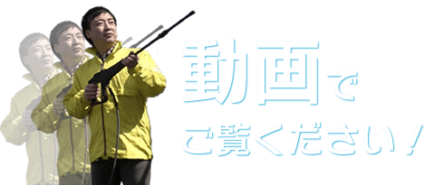 d������݂�