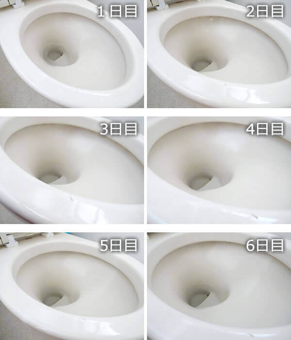 6���Ԏg���Ă݂�