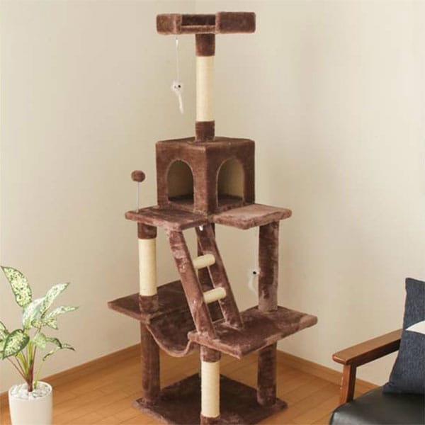 �L���b�g�^���[ �n�����b�N�t�� �S3�F