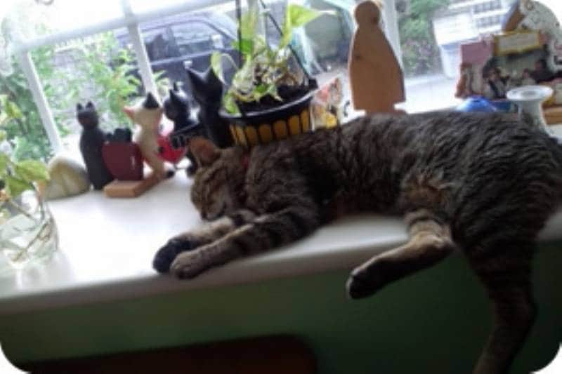 �Ƃ�����[�񂳂񂿂� �N�[����
