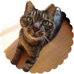 �}�R�g����