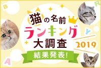 �L�̖��O�����L���O�咲��2019