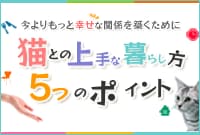 �L�Ƃ̏��ȕ�炵�� 5�̃|�C���g