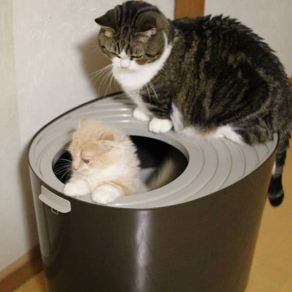 �V�X�e���g�C�����L��
