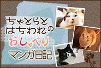 ����Ƃ�Ƃ͂����̂�����ׂ�}���K���L 
