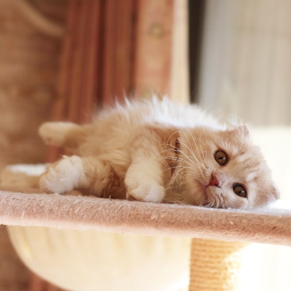 �v���t�B�[���摜