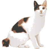 イラスト