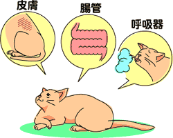 イラスト