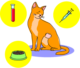 イラスト