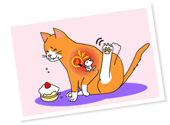 �C���X�g