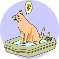 �C���X�g