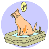 イラスト