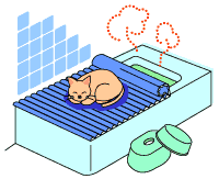 イラスト