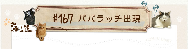 #167 パパラッチ出現