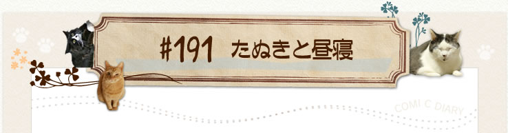 #191 たぬきと昼寝